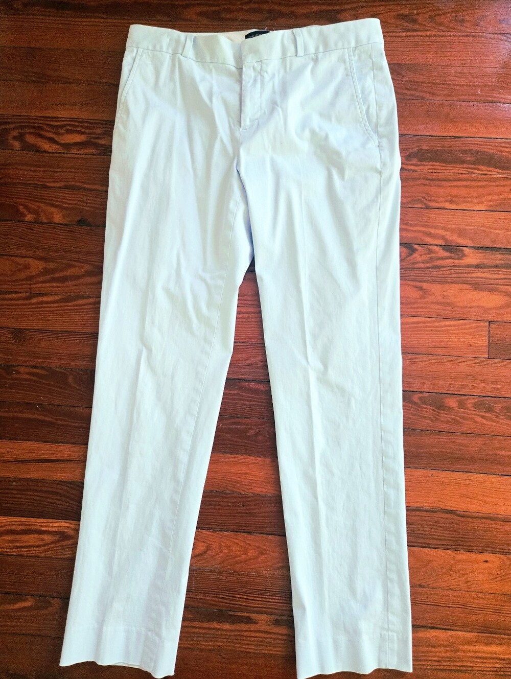 Banana Republic Ryan Pastel Blue Pants